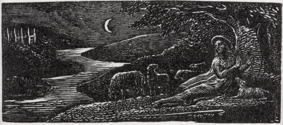 Colinet Resting at Cambridge by Night, illustration från Dr. Thorntons "The Pastorals of Virgil"